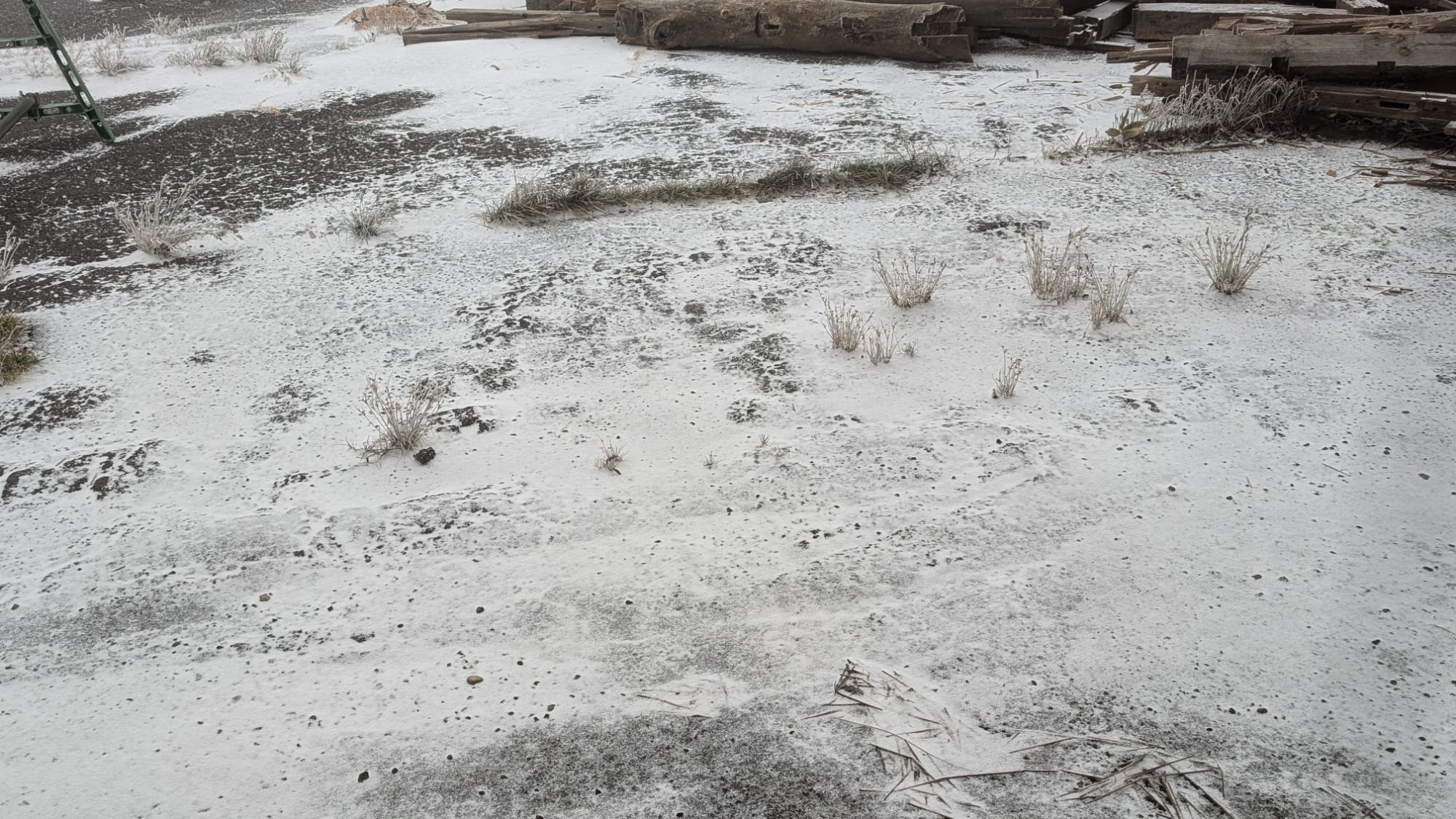 初雪・初冠雪 - 渋峠ホテル